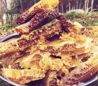 Types of Beehives Image